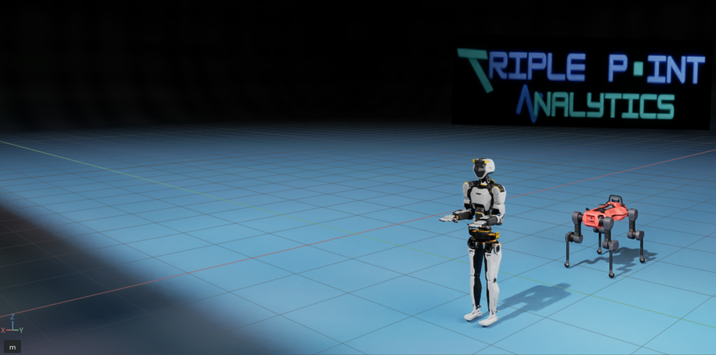 Digital Transformations